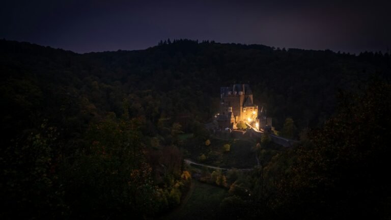 Castillo oscuro entre árboles bajo un cielo nocturno